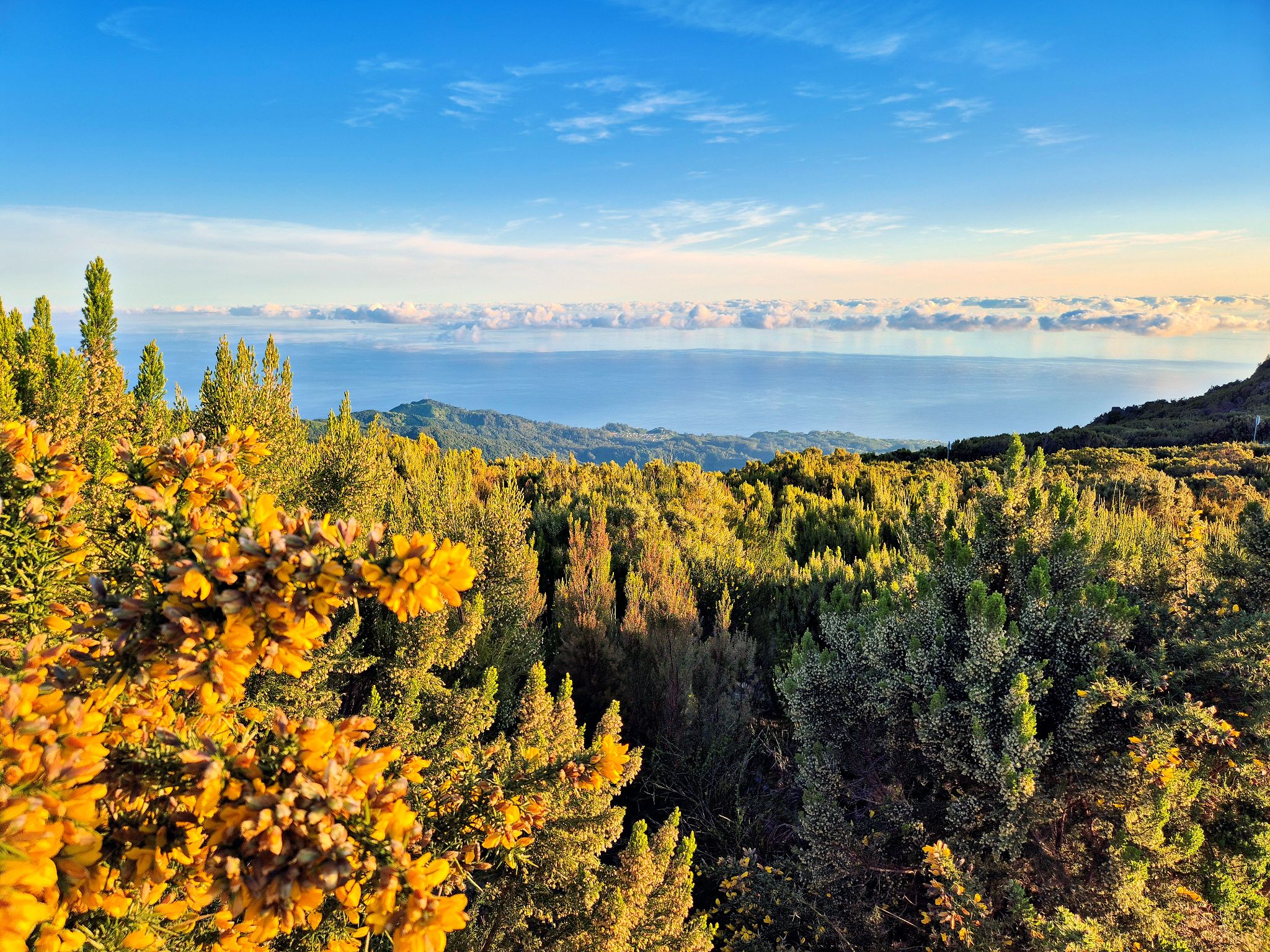 20250516 074112 Santana   Tagesausflug zum Pico Ruivo